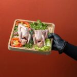 حمام زاجل كويتي طازج