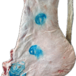 نص فقار حاشي كويتي